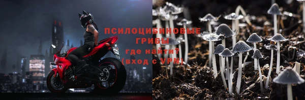 ПСИЛОЦИБИНОВЫЕ ГРИБЫ Кукмор