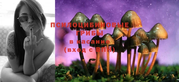 метадон Липки